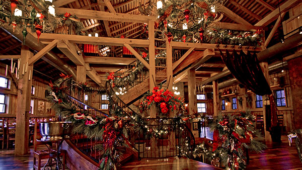 Holidays at Gervasi Vineyard