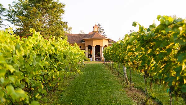 Gervasi’s Summer Concert season 2025 is on its way