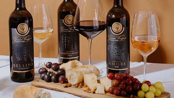 Gervasi Vineyard Black Label wines Bellina, Signora Rosso, and Amore paired with artisan cheese, grapes, and bread
