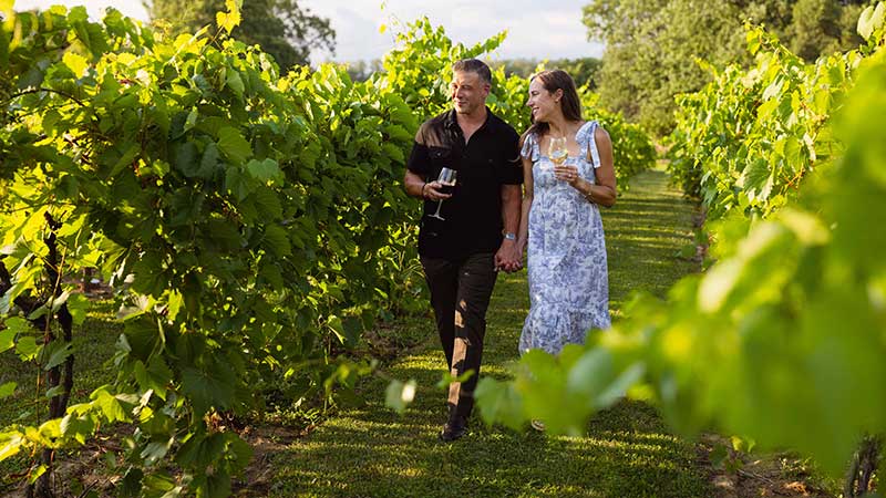 A couple walks hand-in-hand through the lush green vines at Gervasi Vineyard in Canton, Ohio, sipping wine and enjoying the beauty of summer in the scenic vineyard. 